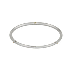 Birthstone Skinny Bangle