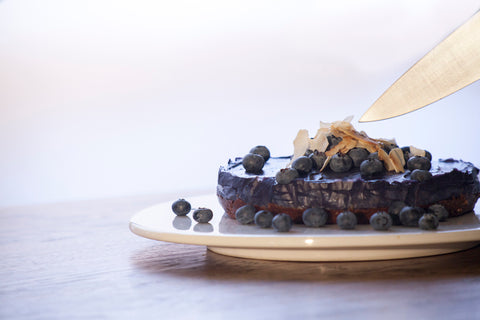 Freya's Nourishment Blueberry Coconut Cheesecake