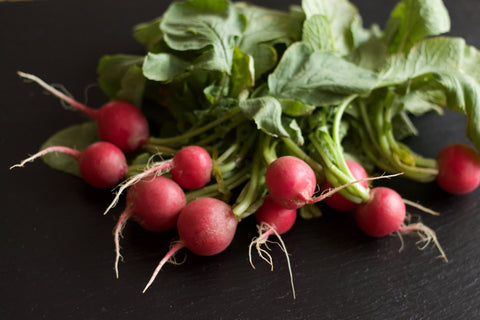 Vibrant fresh radish