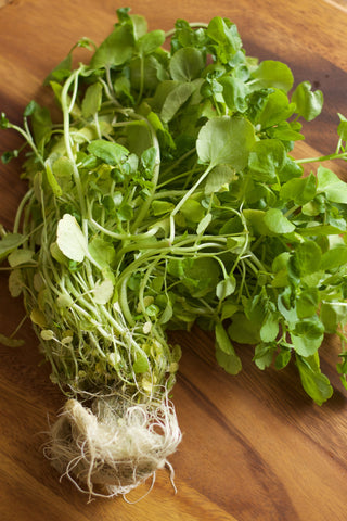 Fresh watercress