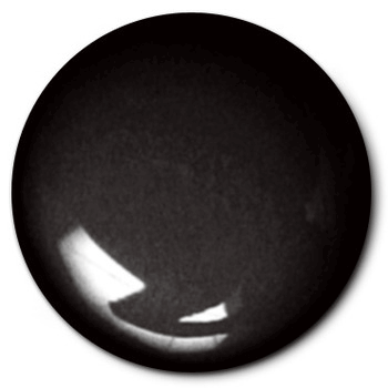 Black 1/4 oz 1147TT