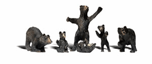Black Bears O A2737