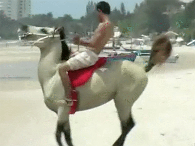 Kevin Beach Ride – Season 1 (Full-Length Original), 24min - Riding.Vision
