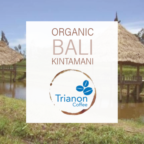 Organic Bali Kintamani RFA
