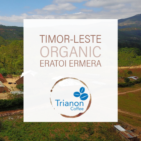 Timor-Leste Organic Eratoi Ermera Crown Jewel