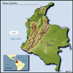 Tolima Colombia
