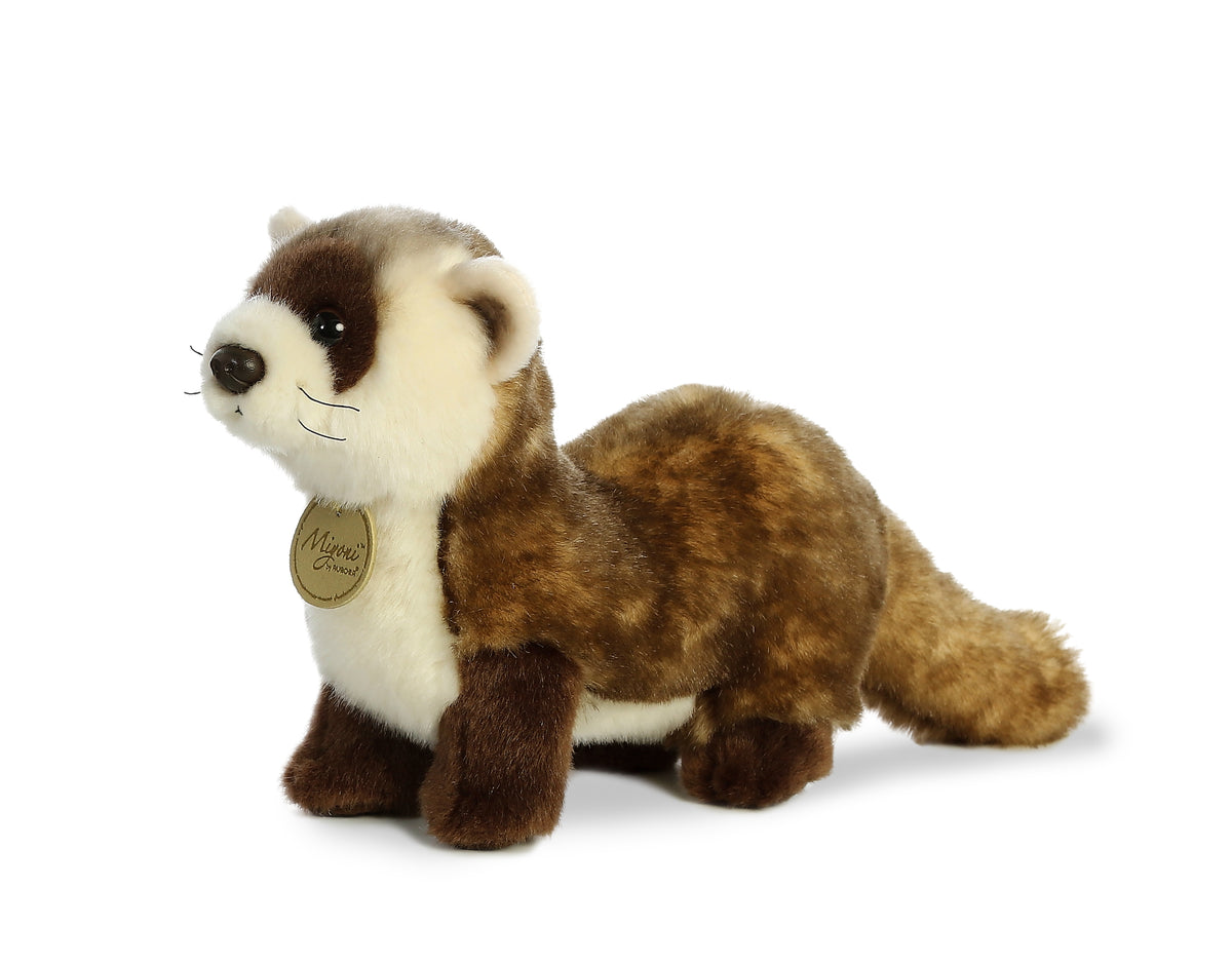 ferret teddy