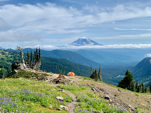 Goat Rock Wilderness US Parks Hiking