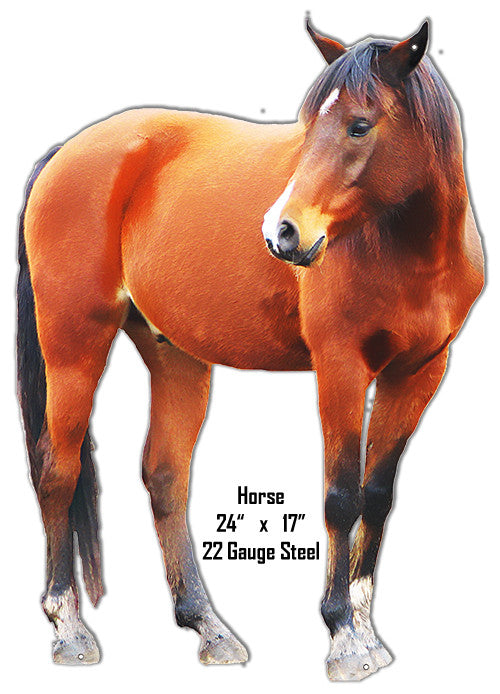 Horse Animal Wall Art Laser Cut Out Metal Sign 17″x24″