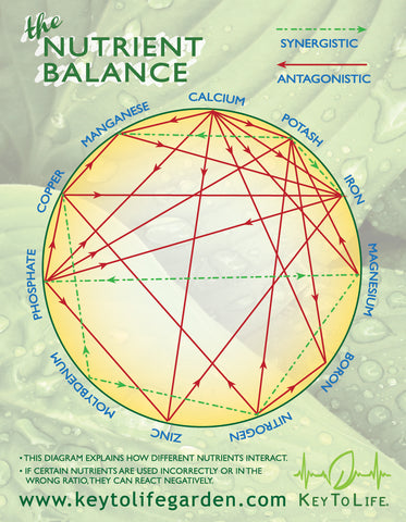 Nutrient Info