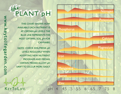 Nutrient Info