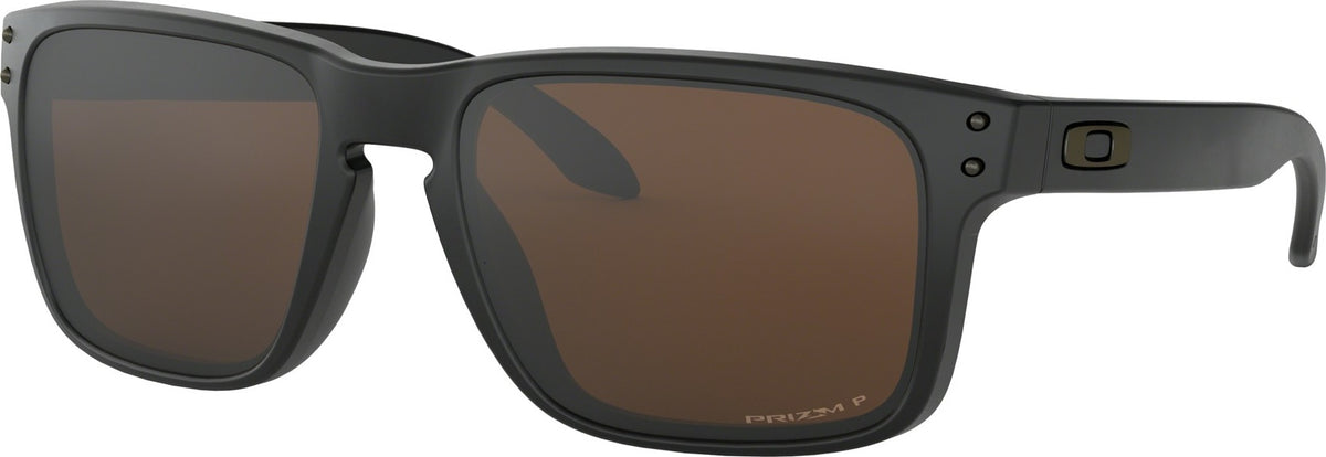 holbrook prizm tungsten polarized