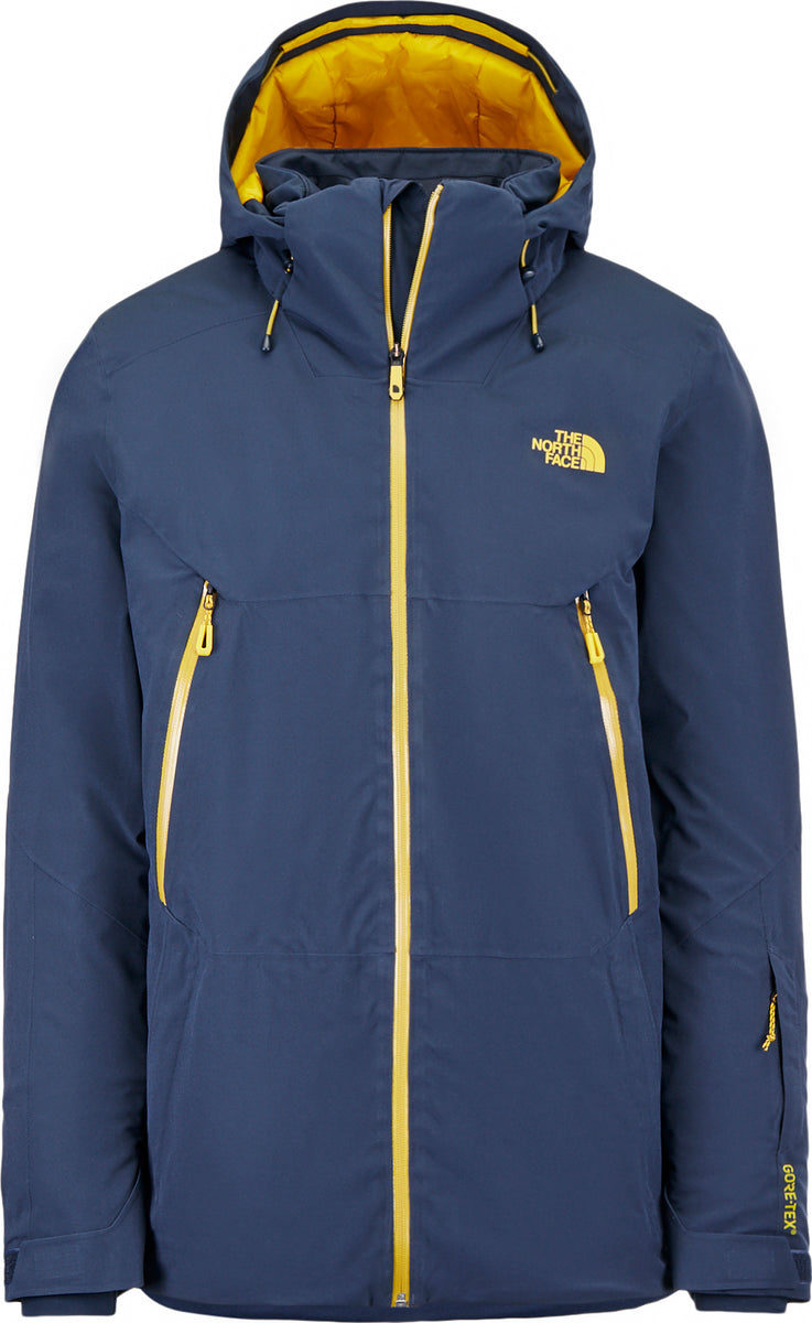 the north face apex flex gtx 2l snow jacket