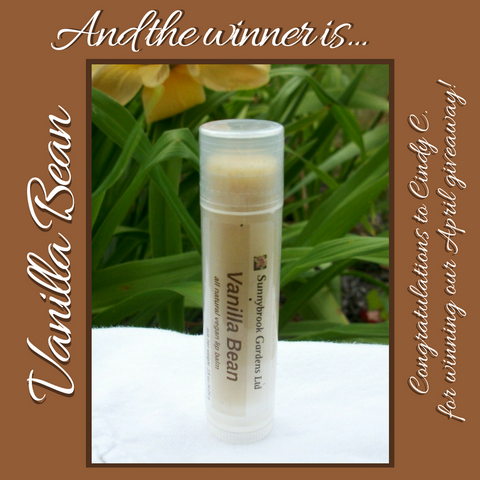 Vanilla Bean is the winning flavor of our newest all natural and organic Lip Scrub!