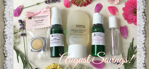 August Monthly Promotion Box has Savings on Fun Travel Essentials!