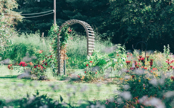 Garden Arch at Garden Path Homemade Soap