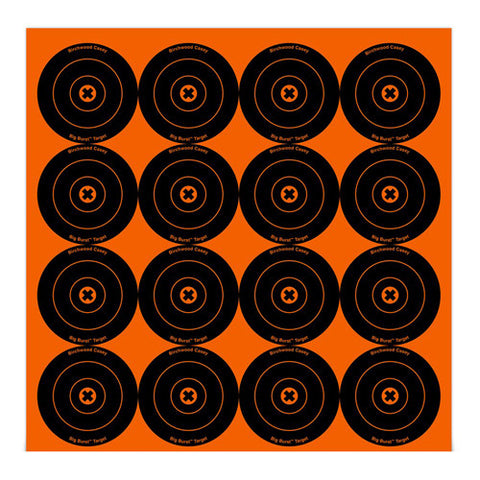 Big Burst 3"- 48 Targets