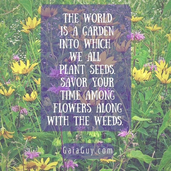 gaia guy power flowers and weeds