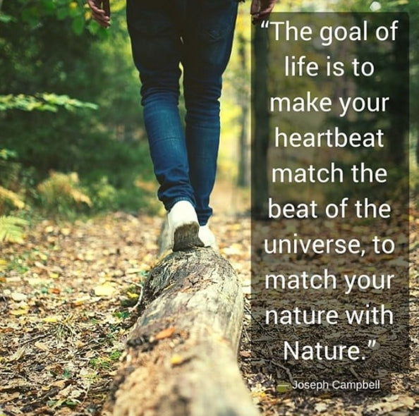 nature with nature quote