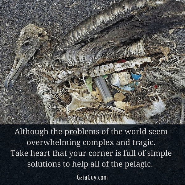 ocean plastic pollution zero waste 