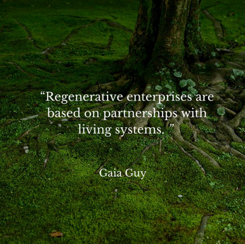 regenerative enterprise permaculture gaia guy