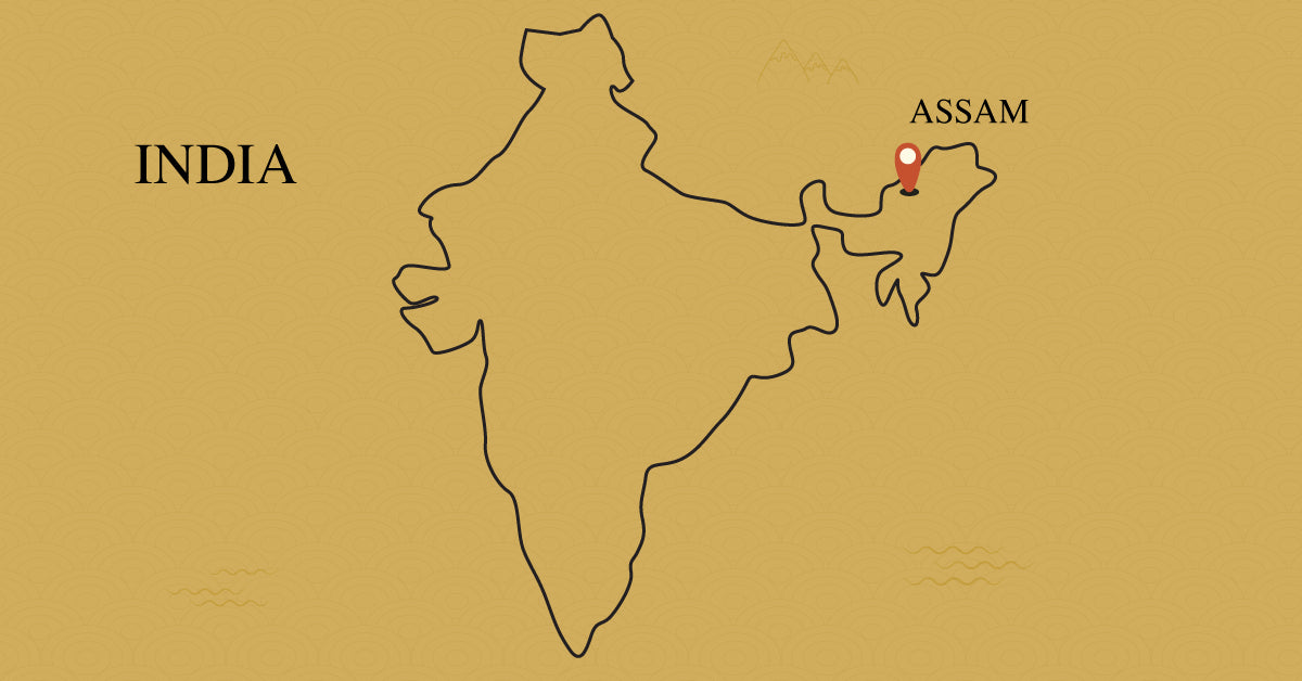 assam-india-tea-region