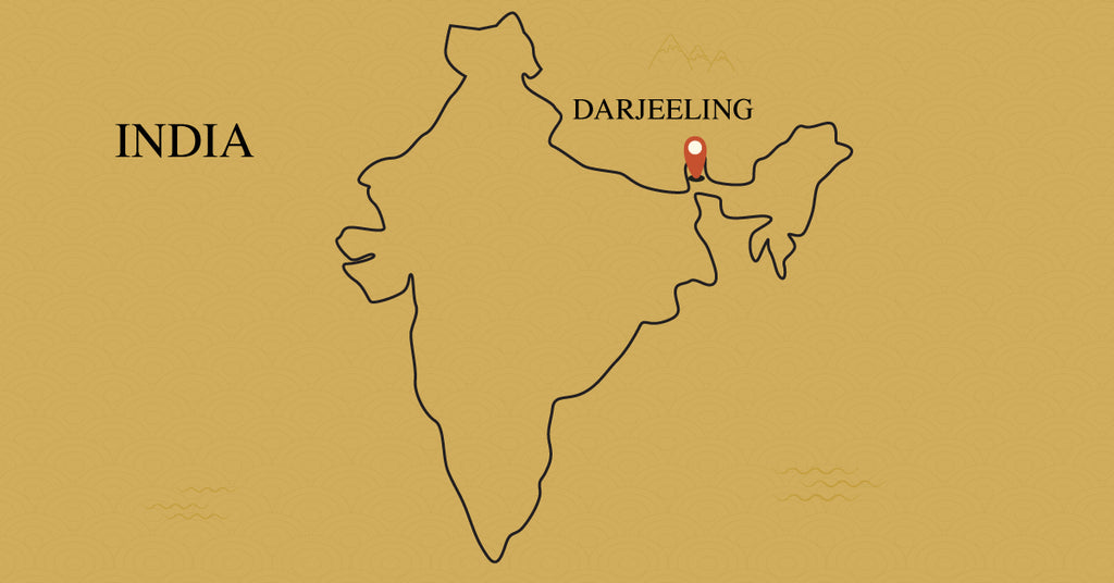 darjeeling-tea-region