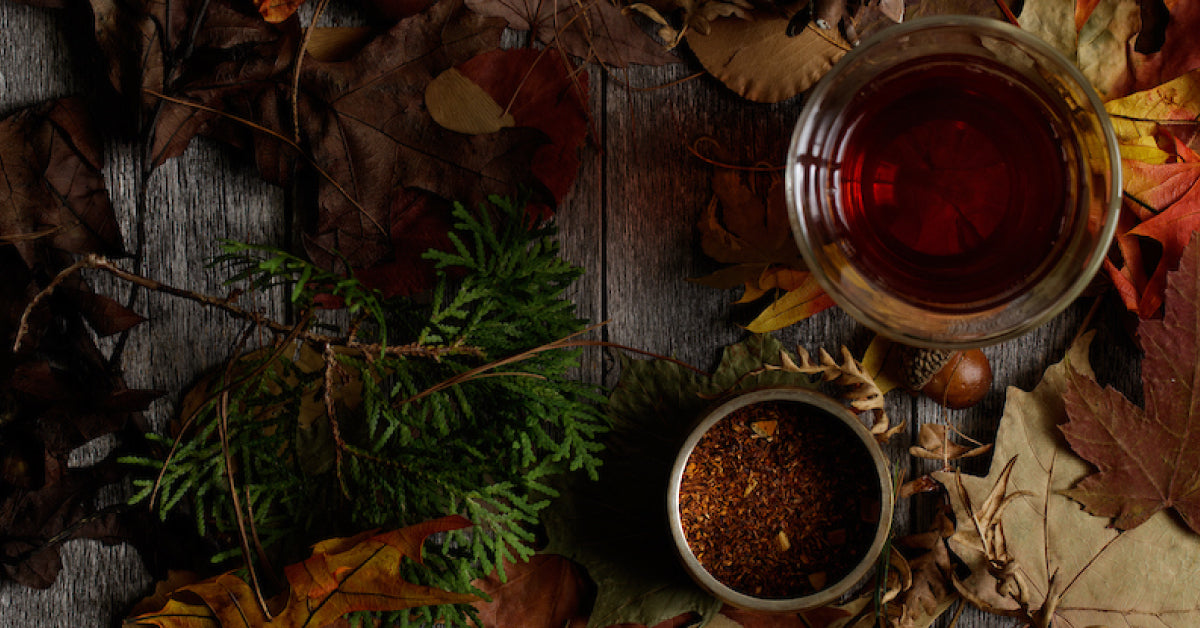 fall-tea-flavors-harney