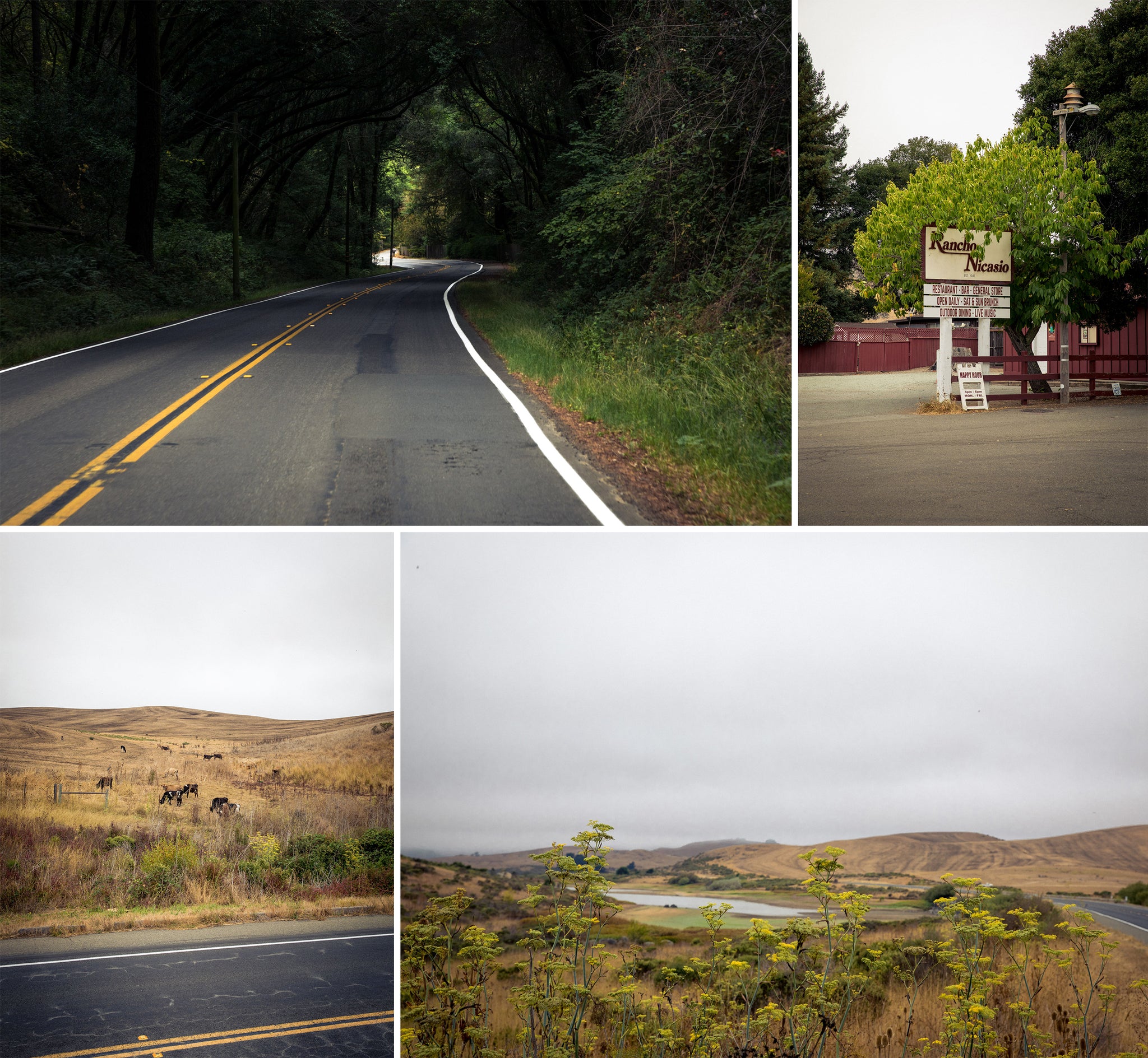 point reyes lucas valley nicasio reservoir