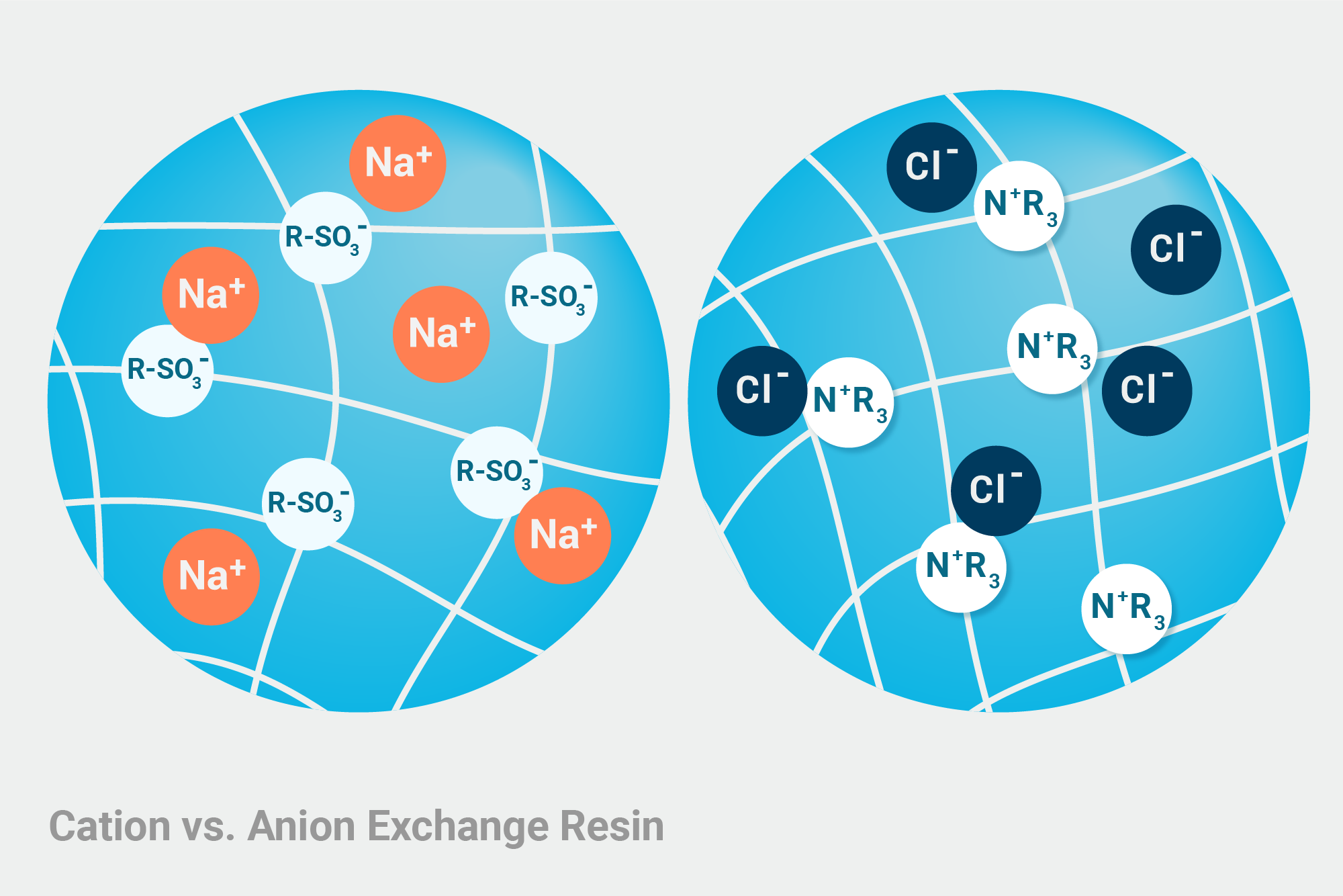 Cation versus Anion Exchange