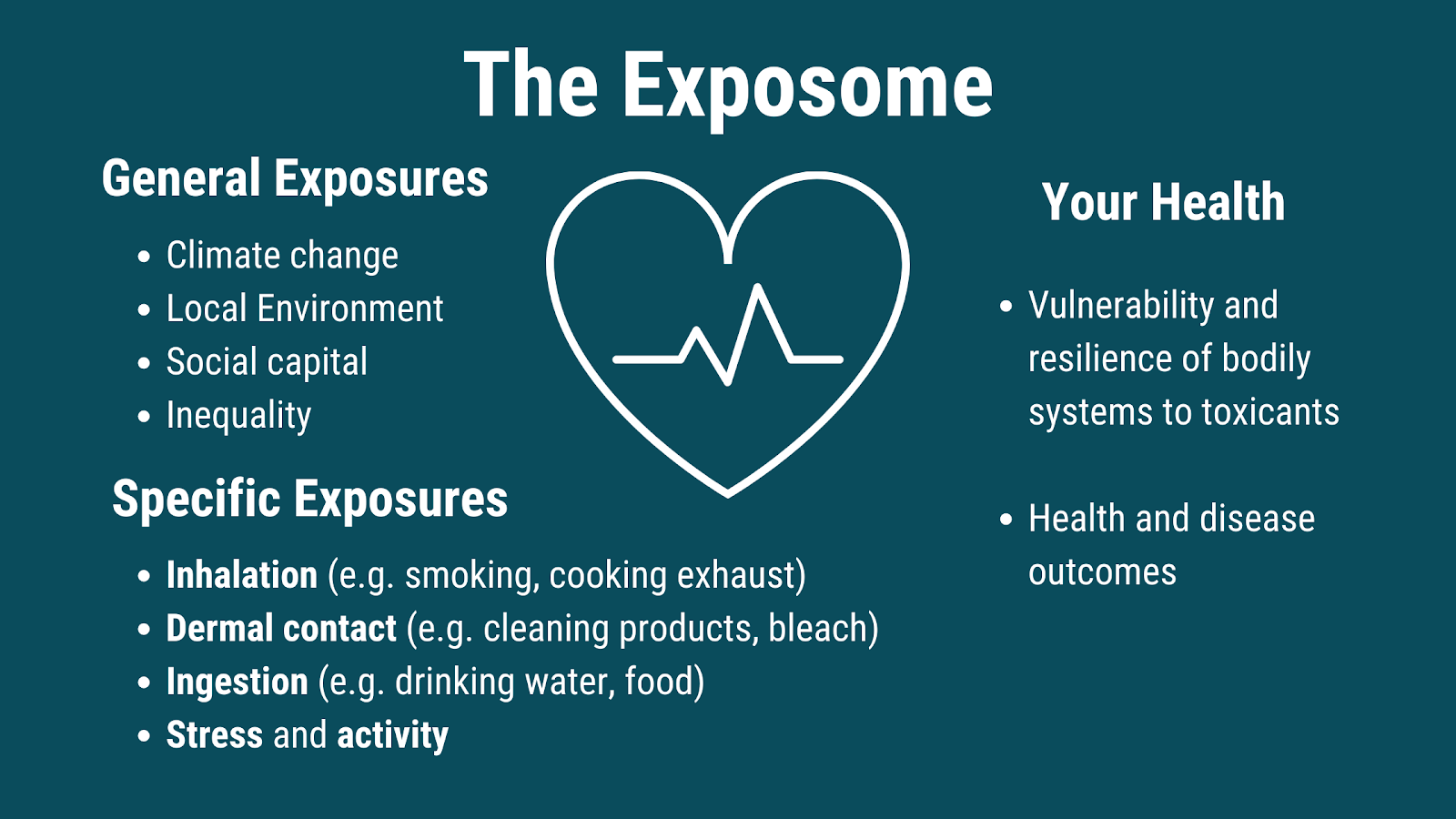 What is the exposome?