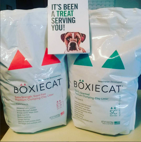 BoxieCATegories free bags of Boxiecat from Healthy Spot