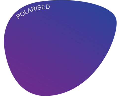 Purple Sunglass Lens