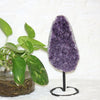 Amethyst Geode $275