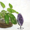 Amethyst Geode on Stand $75 - earths elements