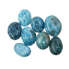 Blue Apatite Palmstone Variety