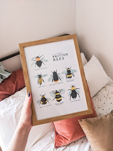 Holding the British Bees Print, Framed