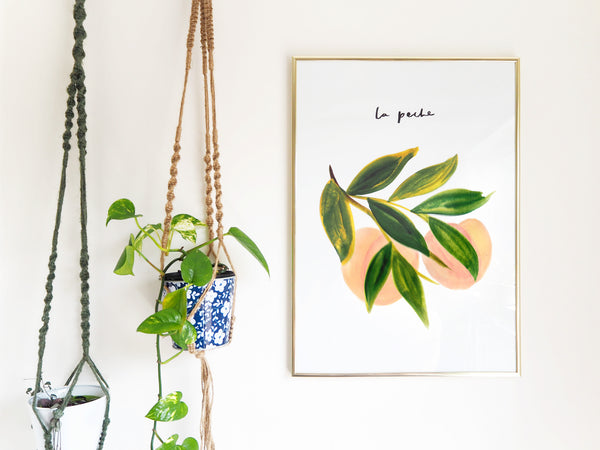La Peche Print hanging on a wall alongside hanging planters - Annie Dornan Smith 