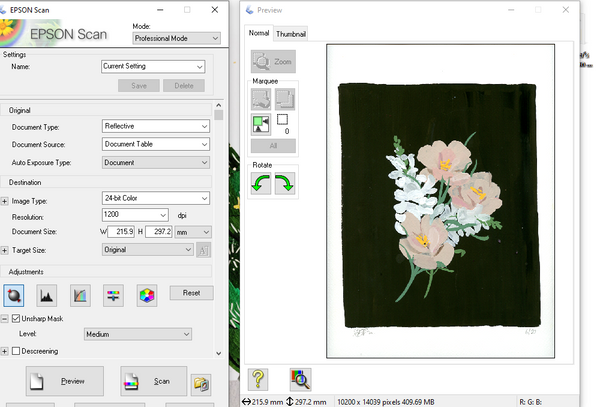 Scanning a painting in Professional Mode
