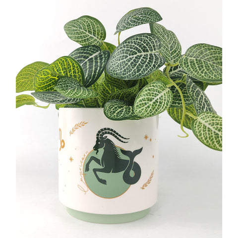 Capricorn Zodiac Star Sign Planter Pot