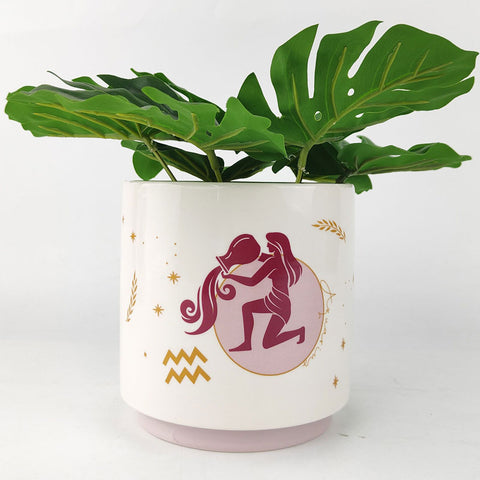 Aquarius Zodiac Star Sign Planter Pot