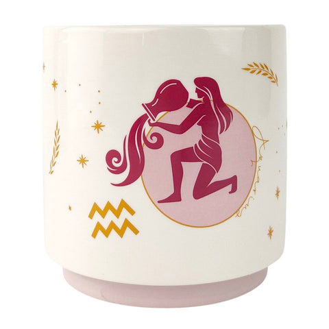 Aquarius Zodiac Star Sign Planter Pot