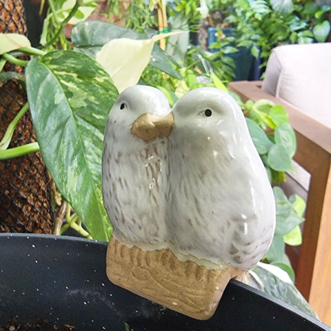 Lovebirds Pot Sitter