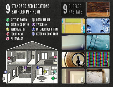 Official photo of the Wild Life of Our Homes Project showing the bacterial sample areas of American homes