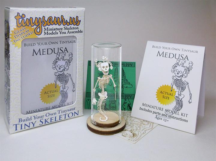 Medusa all-in-one kit