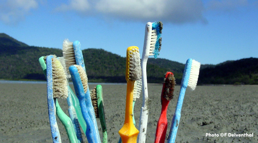 disposable toothbrushes canada