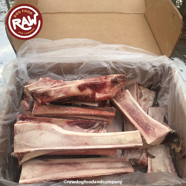 raw beef femur bones for dogs