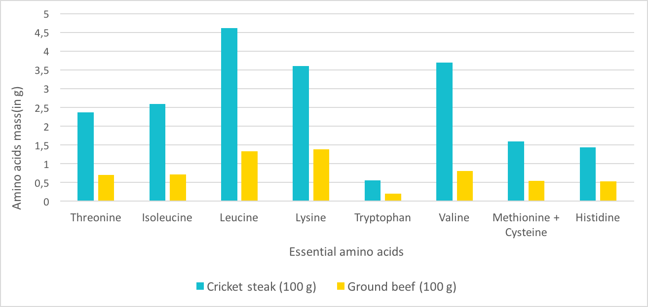 cricket complete protein