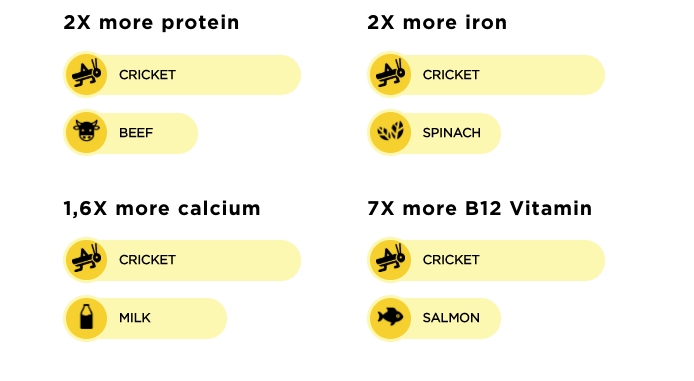 Cricket superfood