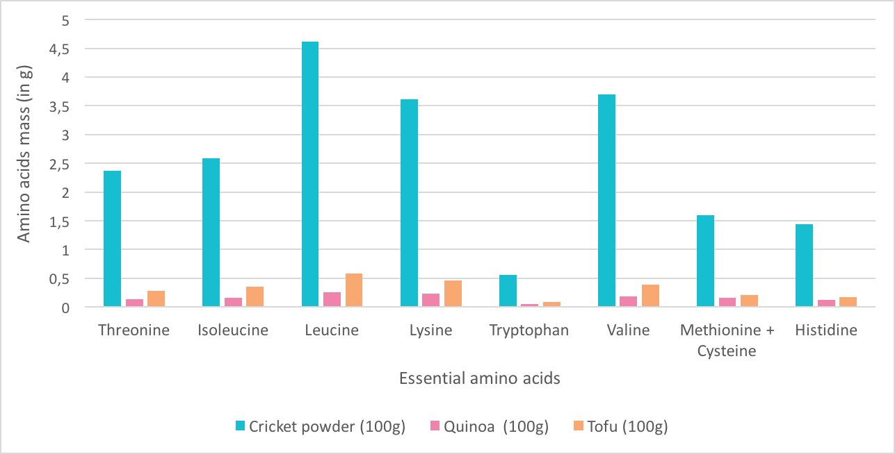 cricket protein benefits